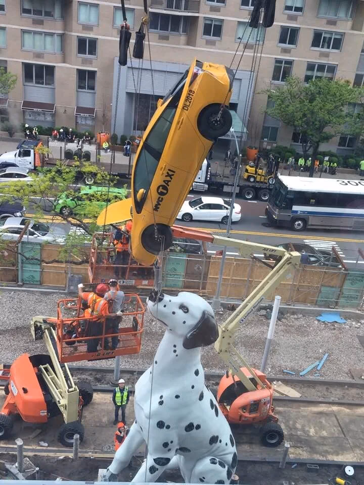 Does NYU Langone Hospital have a taxi cab?